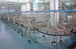 Conveyor systems